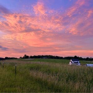 Meet your Posher, Naomi